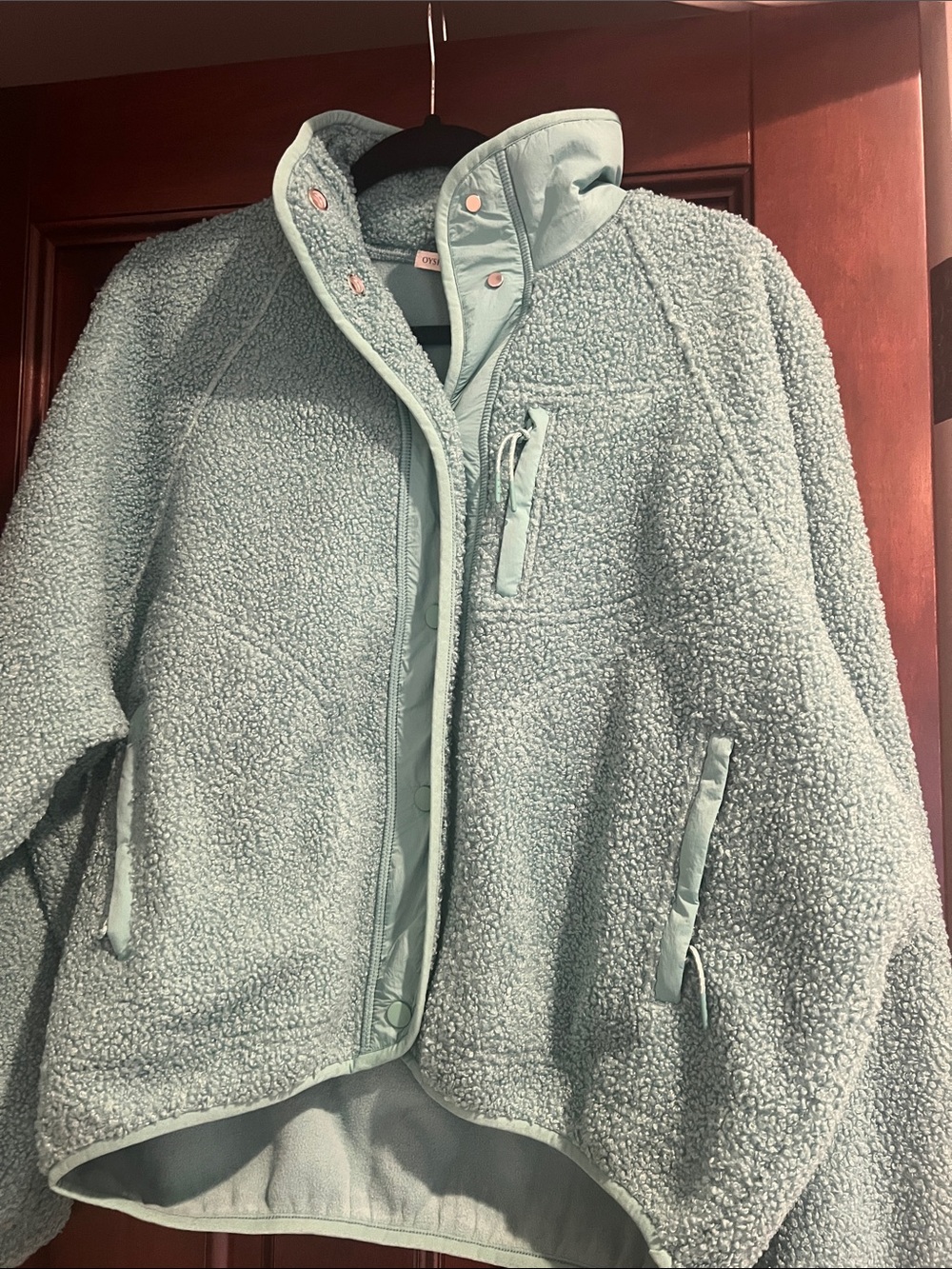 Women's Teddy Jacket - Light Sage Green Plush Coat